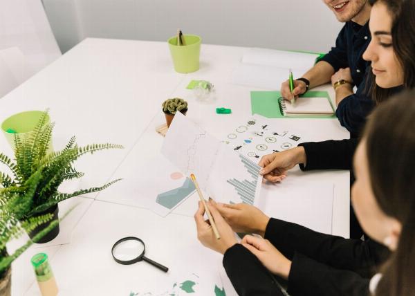 What Makes a Capstone Project Successful?
