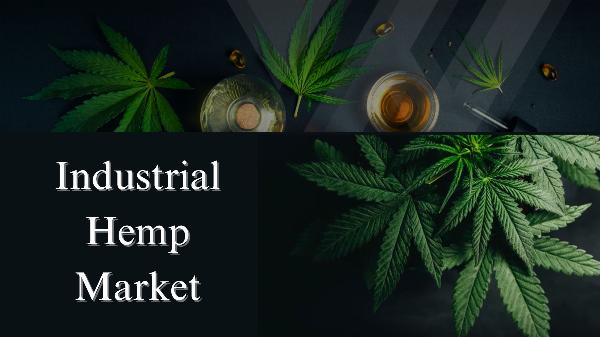 Industrial Hemp Market Size, Share, Growth and Forecast Through 2032