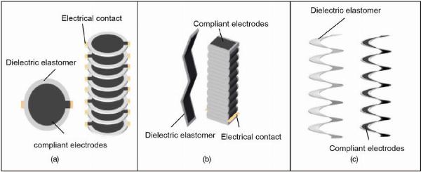 The Dielectric Elastomer Market: Powering the Future of Soft Robotics and Energy Harvesting