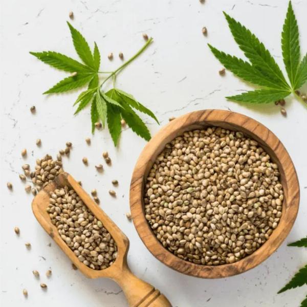 Report on Organic Hemp Manufacturing Plant Detailing Business Plan, Cost Analysis and Material Requirements