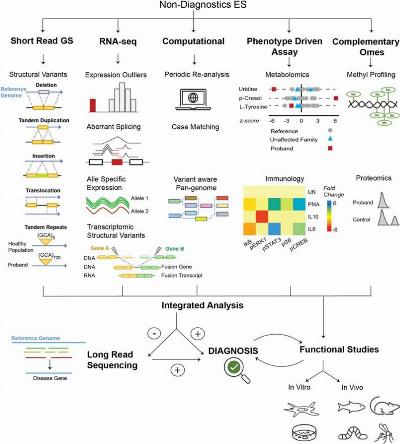 Current Diagnostic Technologies for Rare Disease Research