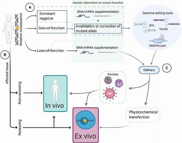 Rare Disease Diagnostic Development to Small Molecule Drug Development