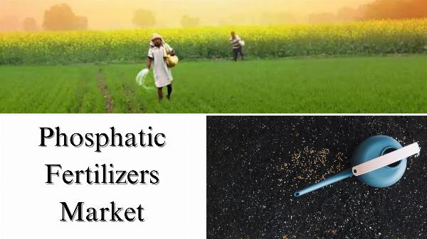 Phosphatic Fertilizers Market Size, Share, and Growth Analysis Through 2032