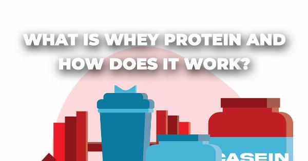 What is Whey Protein and How Does it Work?