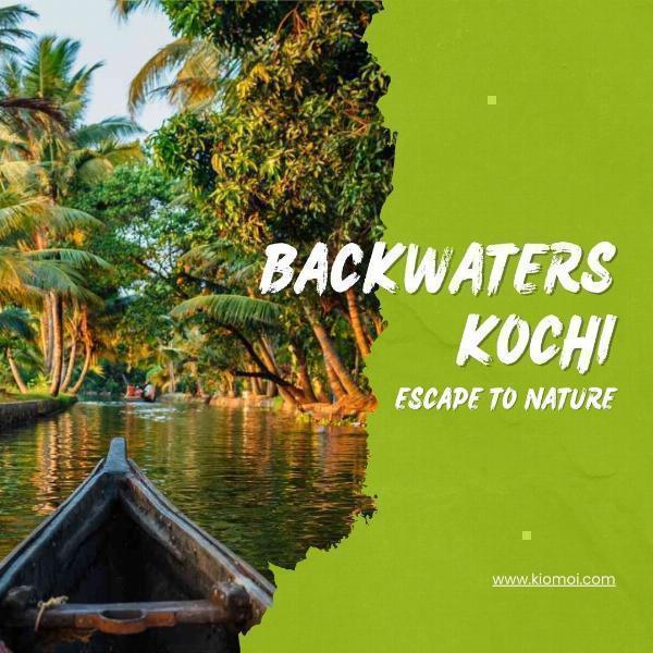 Discovering the Enchanting Kochi Backwaters: A Guide to Kochi Backwaters, Trips, Tours, Boating and Much More