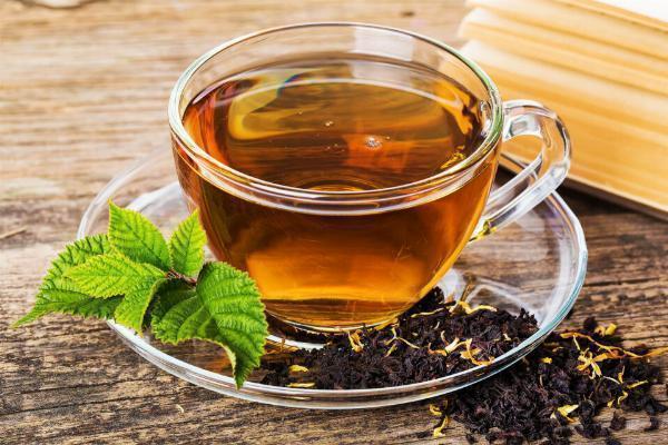Tea Manufacturing Plant Project Report 2024: Business Plan, Requirements and Cost Involved