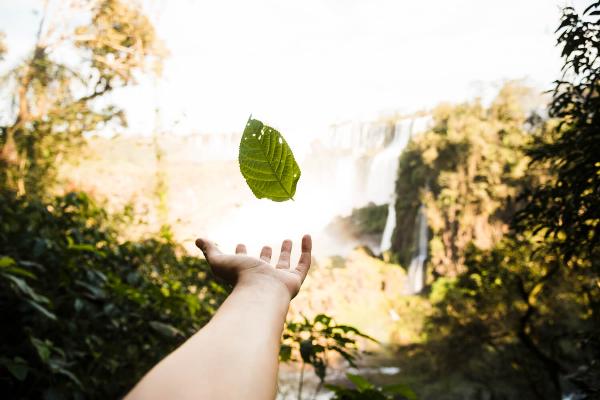 Environmental conservation tips and their importance