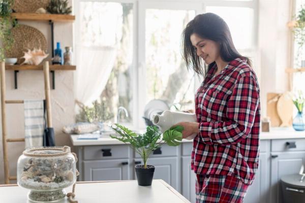 Upgrade Your Kitchen with Sustainable Essentials