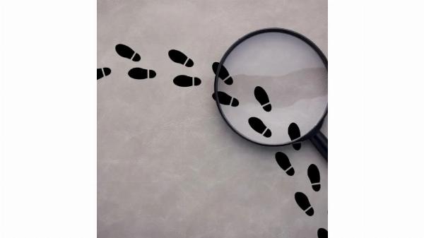 Knoxville Confidential: The Role of a Private Investigator