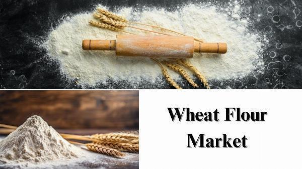 Wheat Flour Market Size, Share, Growth Insights Through 2032