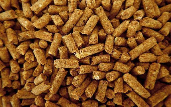 Project Report on Animal Feed Manufacturing Plant 2024: Setup and Cost Involved