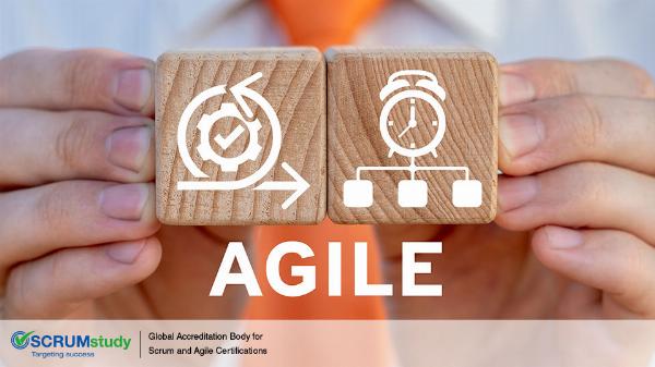 An Agile Master Program: Elevating Agile Expertise for Professionals