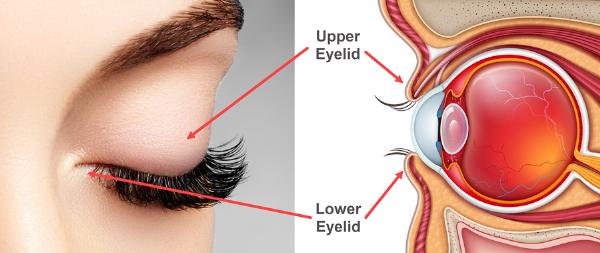 Expert Advice on Choosing the Best Eyelid Surgery Doctor in Riyadh