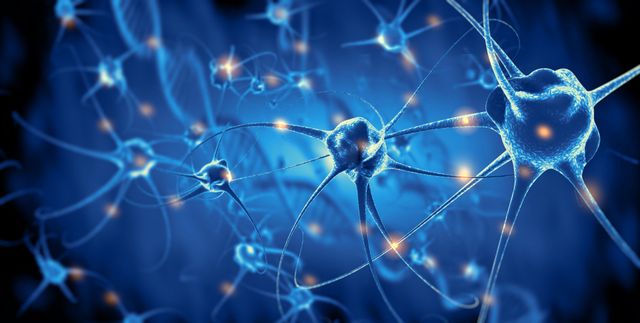 The Importance of MRI for Diagnosing Brain and Spinal Conditions