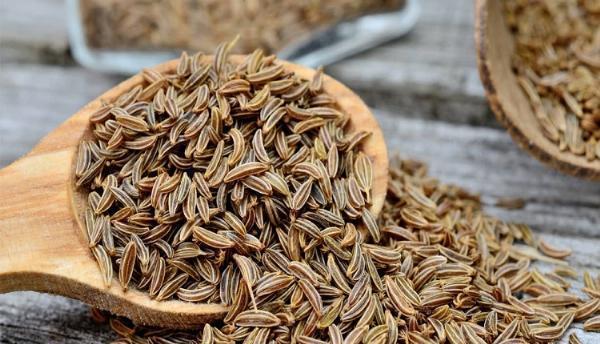 Caraway Seeds Market Boost: Health Trends and Consumer Preferences