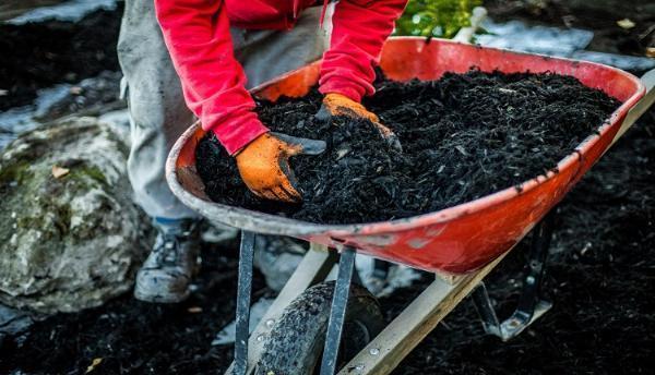 Manufactured Soil Market Rise: Urbanization and Organic Farming Fuel Demand
