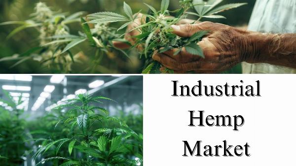 Industrial Hemp Market Size, Share, Analysis and Growth Forecast Through 2032