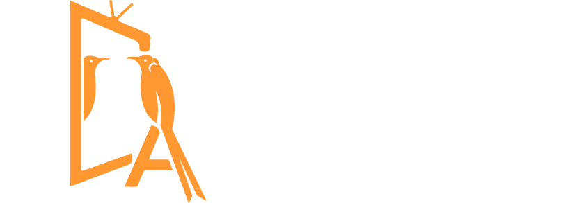 Puedo usar el Formuler Z11 Pro MAX sin una suscripción de IPTV?