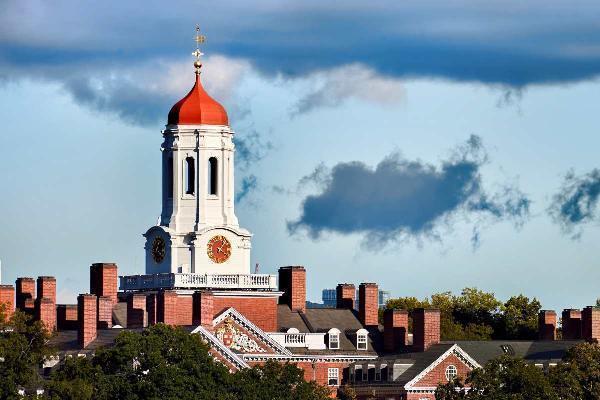 How to Thrive as a Harvard Student: Study Tips, Social Life, and More