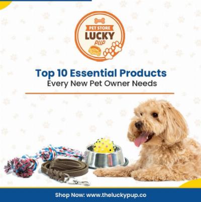 Buy Safe Dog Products Online: A Practical Safety Checklist for Pet Owners
