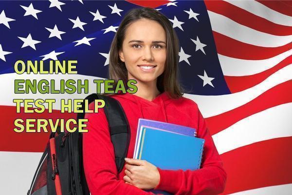 A Complete Guide to Acing the TEAS English Section with Online Help