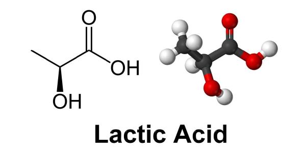 Encapsulated Lactic Acid Market To Gain Substantial Traction Through 2033