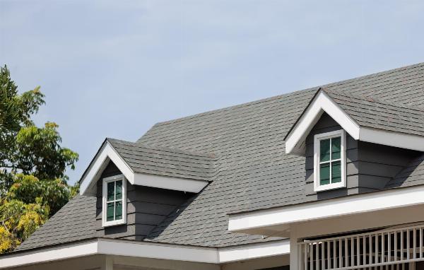 The Flat Roofing Company: Dorset's Leading Roofing Company for Flat Roof Excellence