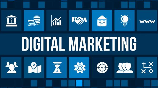 SEO Strategies for Online Health Supplement Stores | Elite Tech Labs