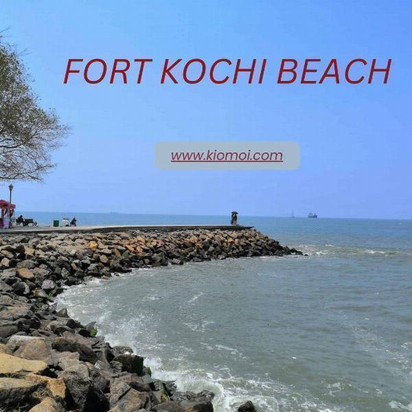 How to Reach Fort Kochi: A Comprehensive Travel Guide