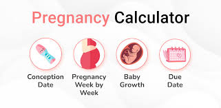 Tracking Your Pregnancy: How a Pregnancy Calculator Can Help Plan Every Trimester