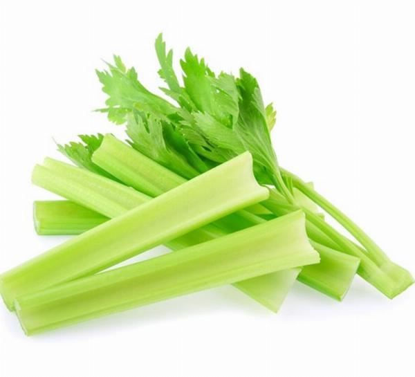Celery Processing Plant, Project Report, Manufacturing Process, Business Plan, and Machinery Requirements