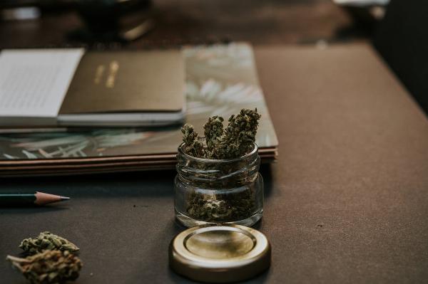 Best Cannabis Seeds To Grow in 2024