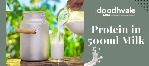 How Much Protein is in Milk? A Comprehensive Guide