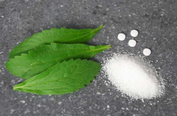 Stevia Processing Plant Cost 2024: Setup Details, Project Report and Requirements