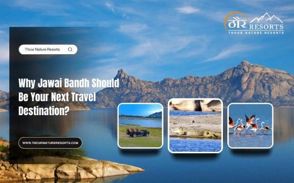 Why Jawai Bandh Should Be Your Next Travel Destination?