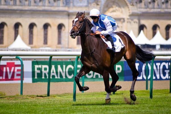 Diet & Nutrition Tips From Horse Racing Jockeys