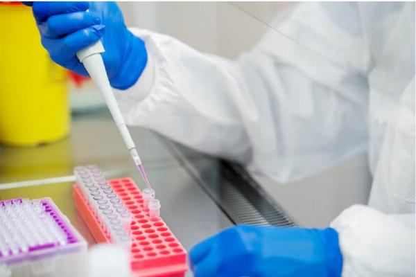 Guide to TC, DC, ESR Blood Tests at Kolkata’s Top Lab