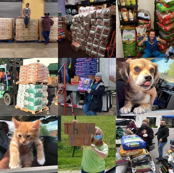 The Future of Pet Supplies Distribution: Trends to Watch in 2024