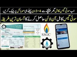 # Simplifying Your Utility Management with SNGPL Online Bill Check