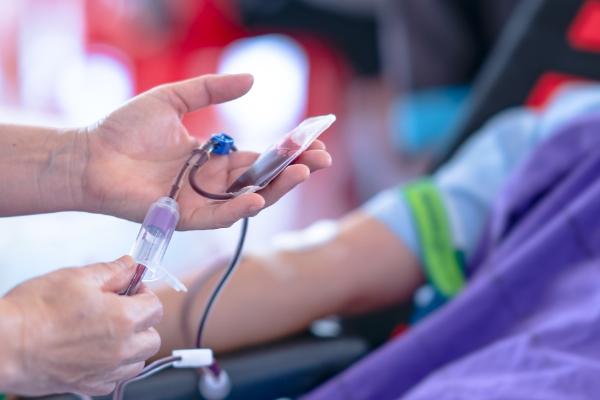 Gynecomastia Procedures Market: Dynamics, Key Players, and Industry Projections till 2029 by TechSci Research