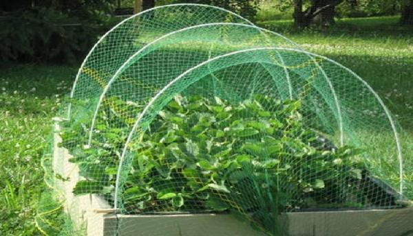 Agriculture Nets Market: Impact of Climate Change on Demand