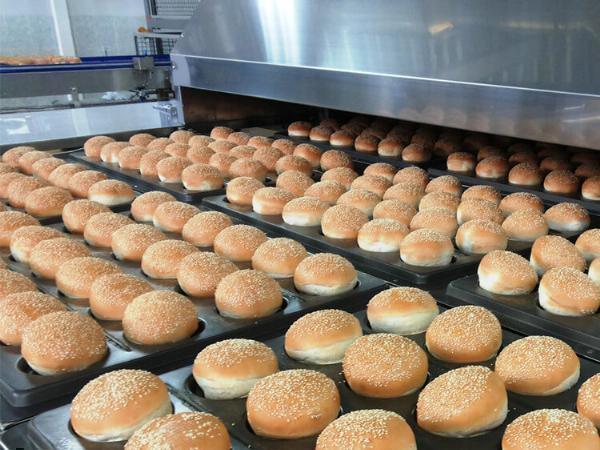 Bakery Processing Equipment Market Size, Share, Growth Rate, and Trends