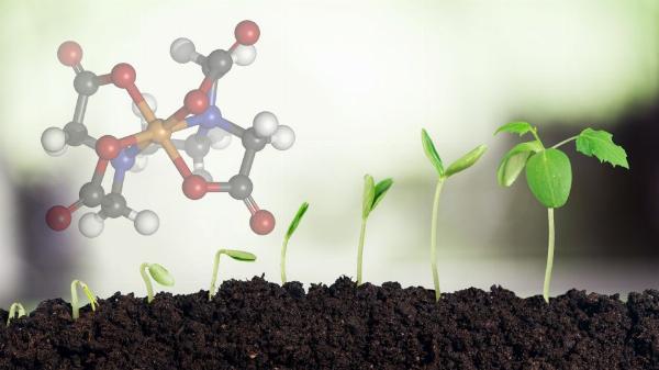 The SWOT Analysis of Vietnam Mycorrhizal Biofertilizers Market