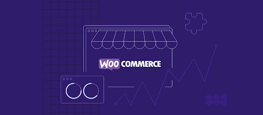 Top WooCommerce Extensions To Improve Your Store Sale with These Plugins In 2024-2025