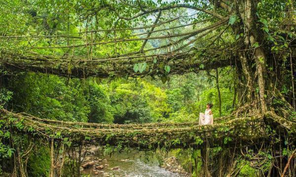 Best Places to Visit in Cherrapunji: A Comprehensive Guide