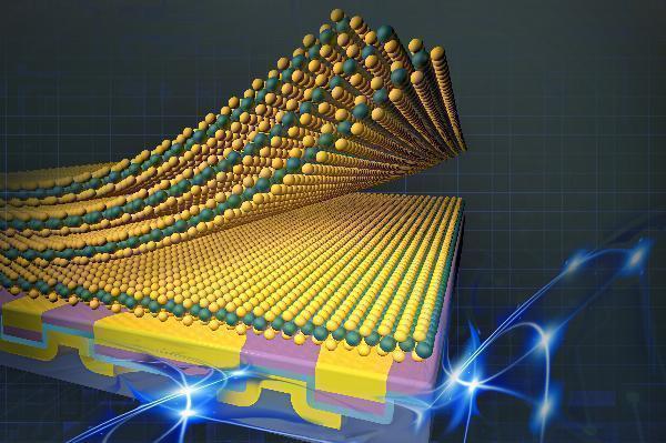 2D Materials Market Trend Comprehensive Assessment To 2033