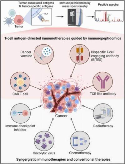 Harnessing the Power of the Immune System: The Rise of Cancer Vaccines in Oncology