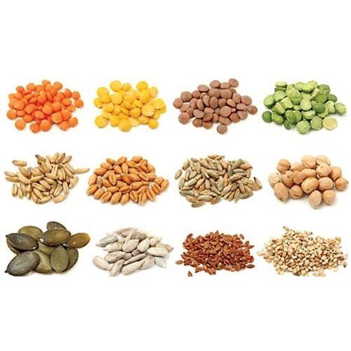 Vegetable Seeds Market Size, Share, Competitive Landscape, Trends, 2032