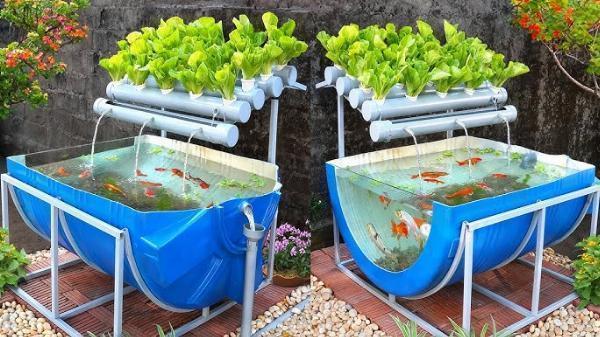 Aquaponics Market Poised for Growth as Demand for Organic and Sustainable Produce Increases