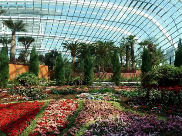 Discover Singapore: 7 Unmissable Experiences for Every Traveler